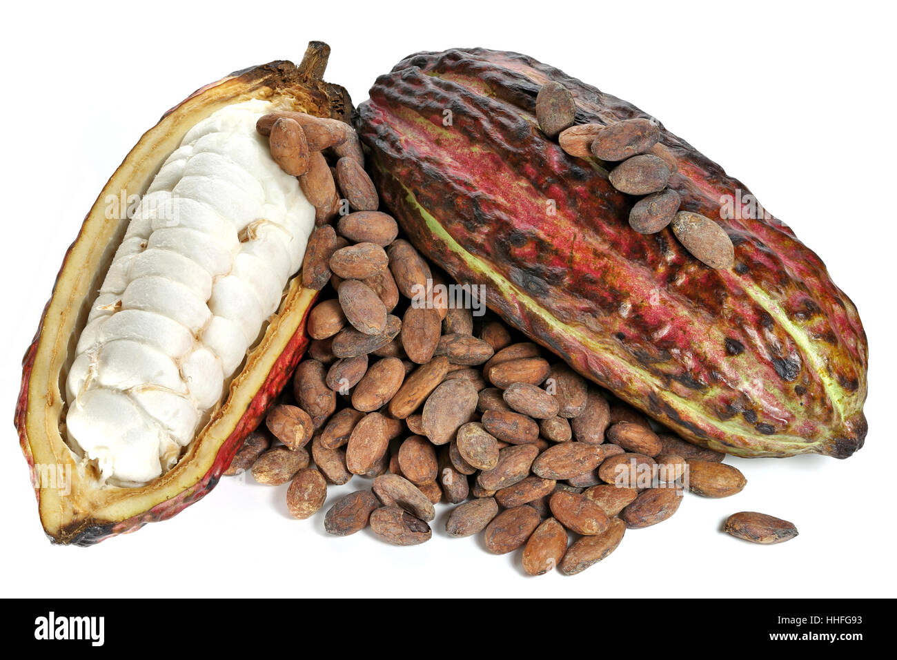 cacao fruits with roasted cacao beans isolated on white background Stock Photo