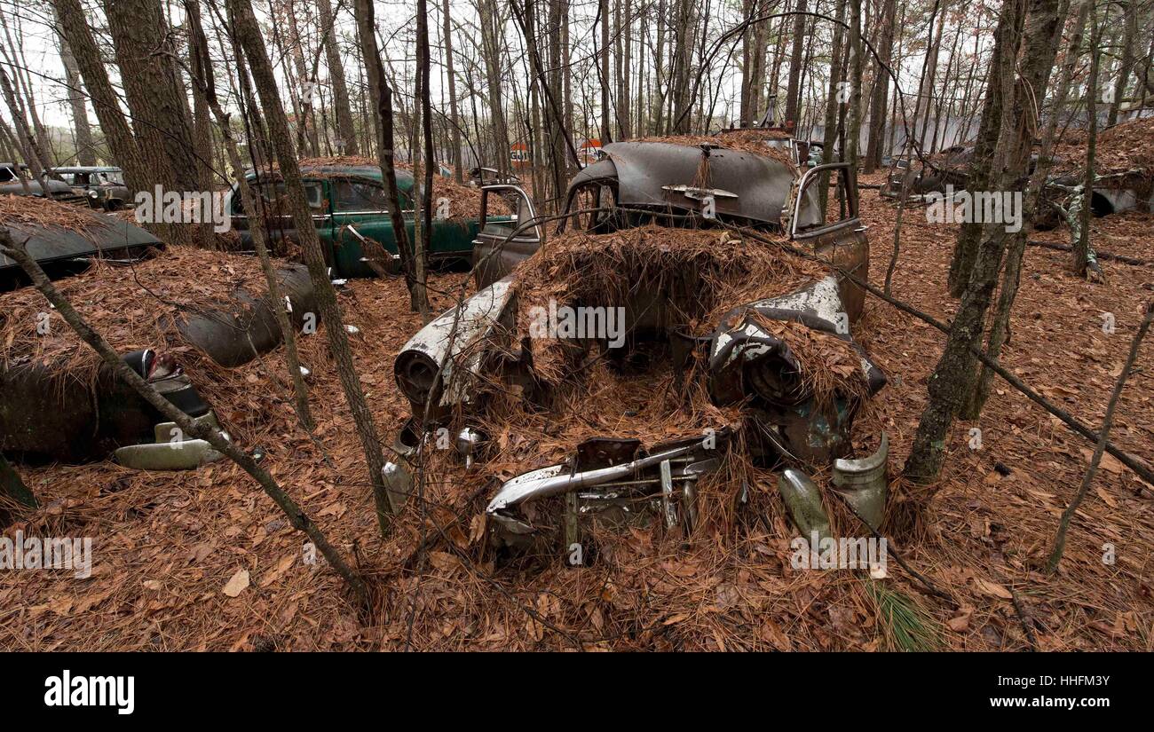 White, USA. 18th Jan, 2017. Old Car City USA, a classic car junkyard