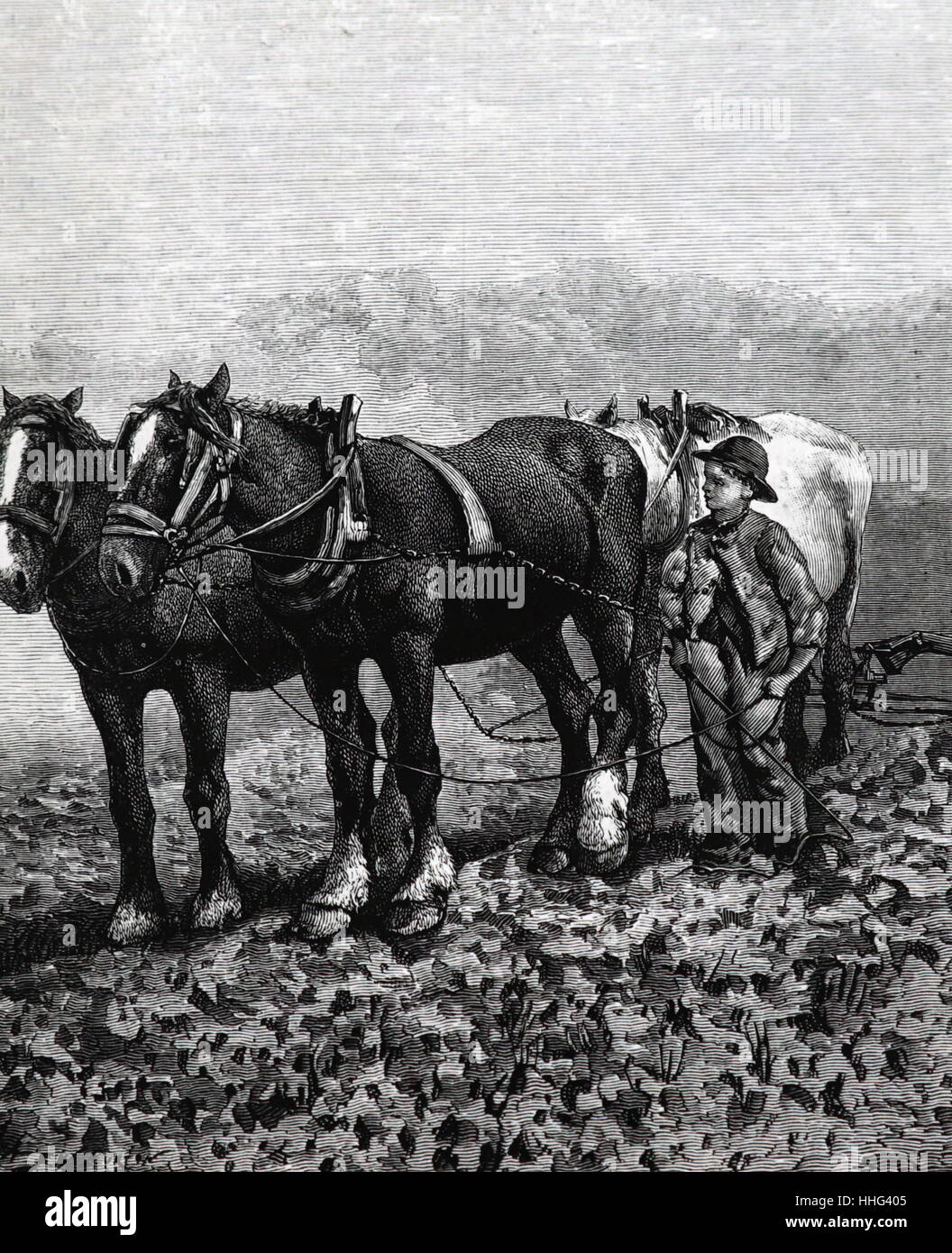 Ploughboy hires stock photography and images Alamy