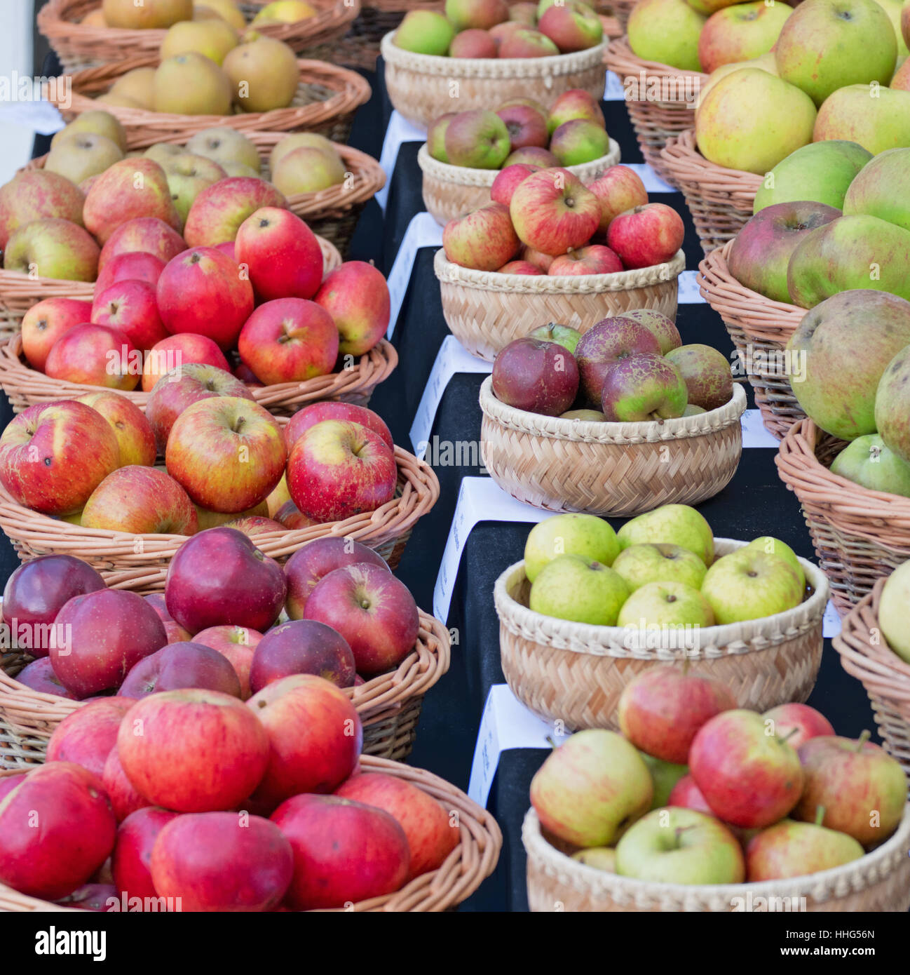 Baskets of different varieties of eating and cooking apples on display at an English autumn fair Stock Photo