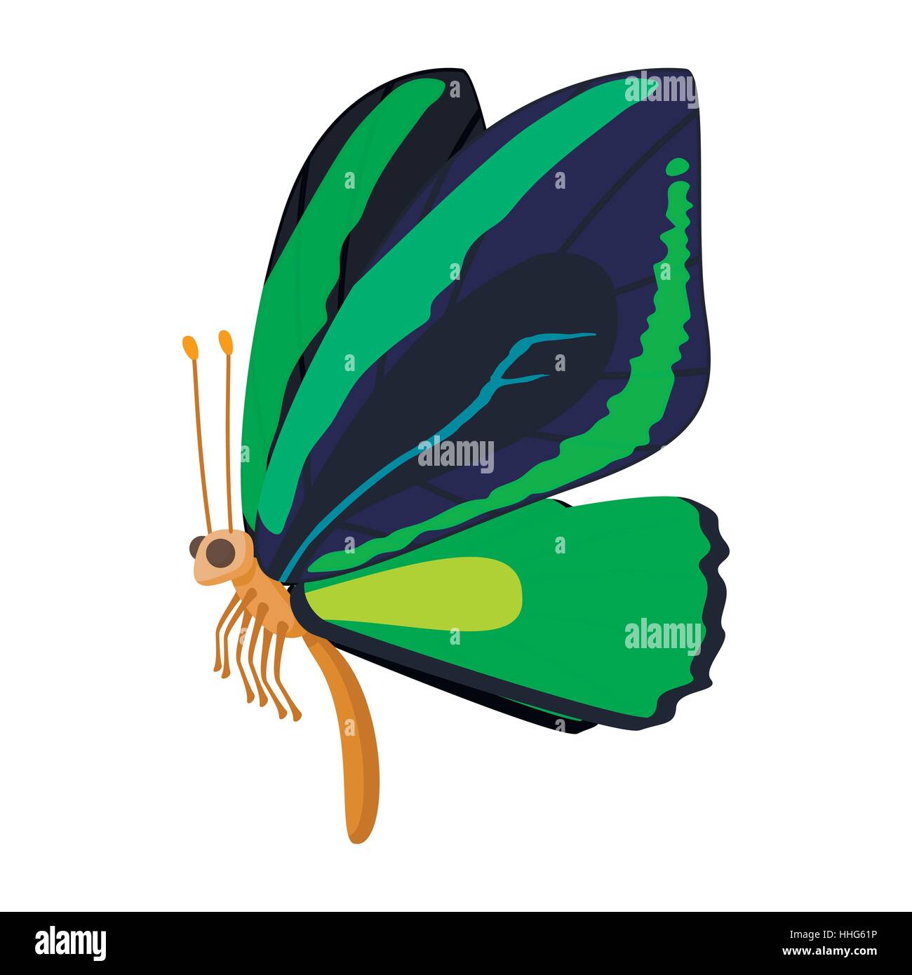 Dark blue-green butterfly icon, cartoon style Stock Vector Image & Art