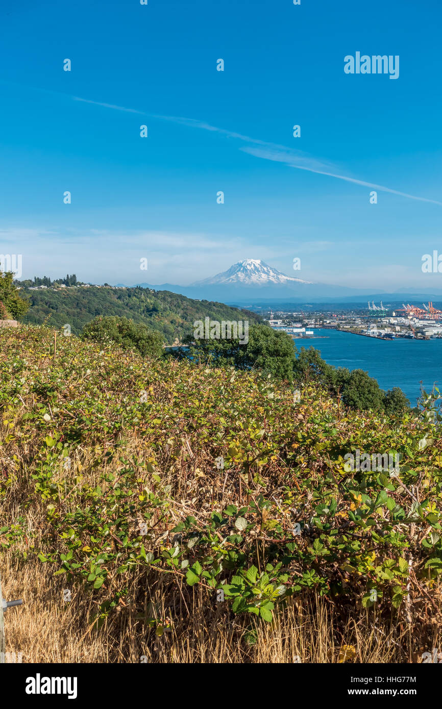 A view of Mount Rainier and the Port of Tacoma Stock Photo - Alamy