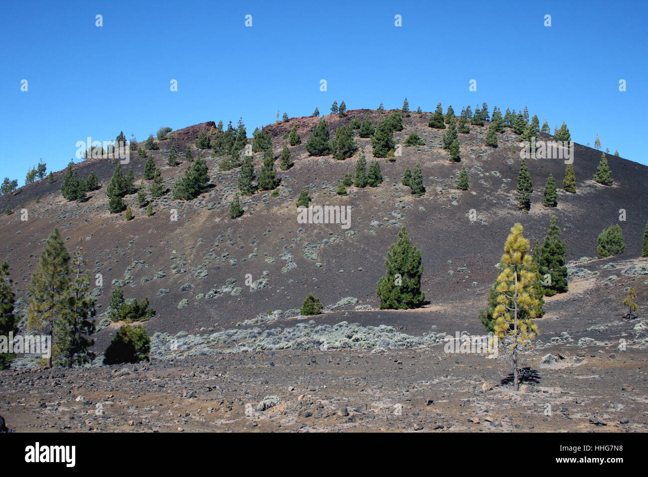 lava landscape in teide national park,tenerife Stock Photo