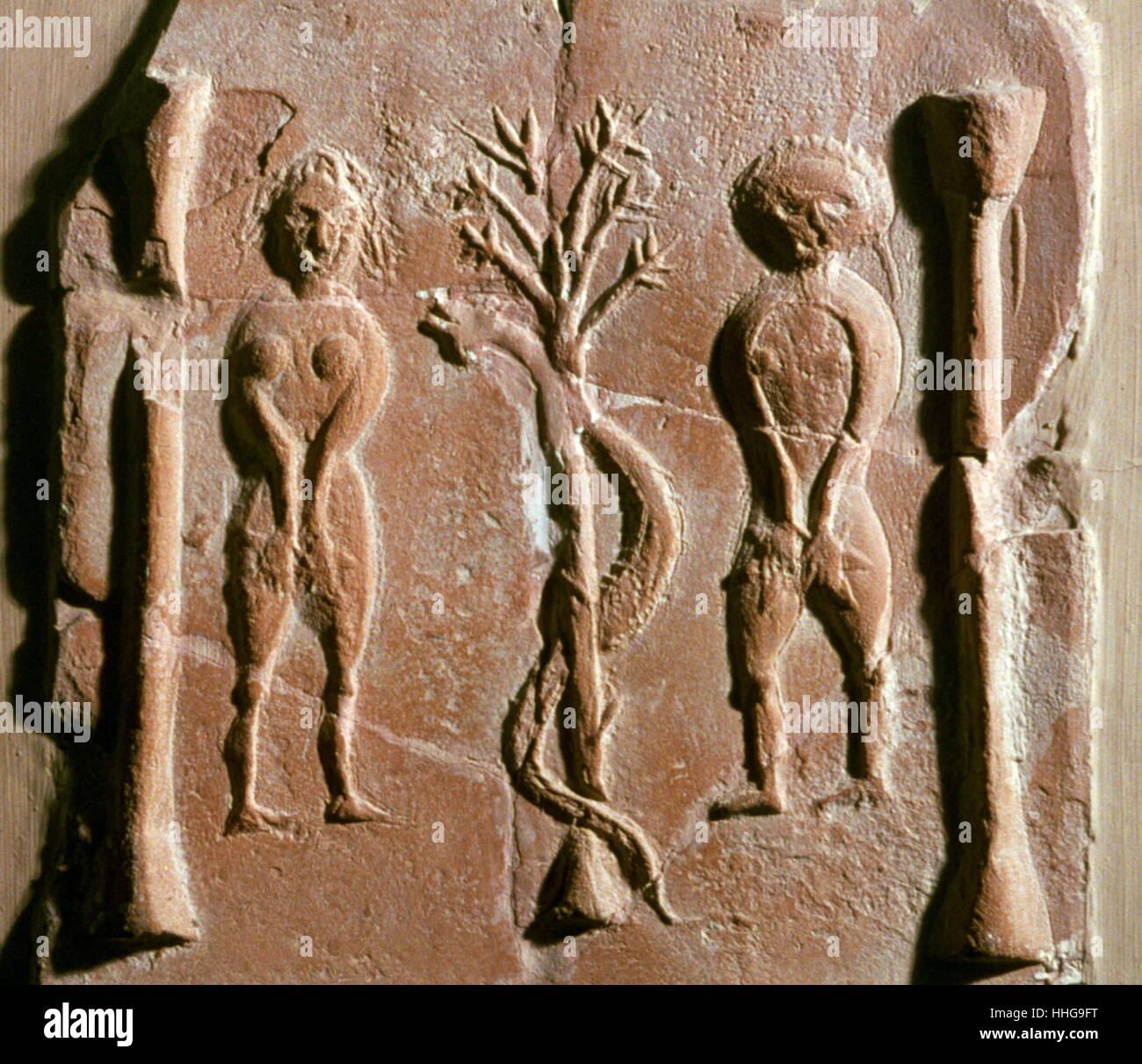 Adam eve tree knowledge hi-res stock photography and images