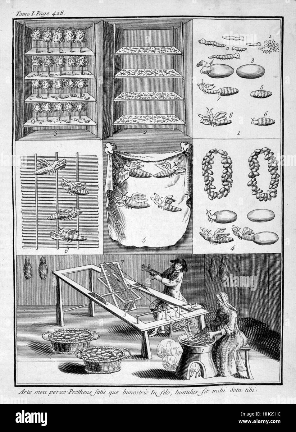 Silk worm cultivation and threading of silk, from the 1775 edition of 'Oeconomie générale de la campagne, ou Nouvelle maison rustique', Paris, 1700. By Louis Liger (1658–1717), French agronomist and prolific writer on flora and fauna. This was a guide to horticulture for country dwellers Stock Photo