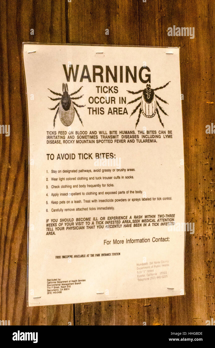 States ticks 🏷️ with no Creepypasta Stories