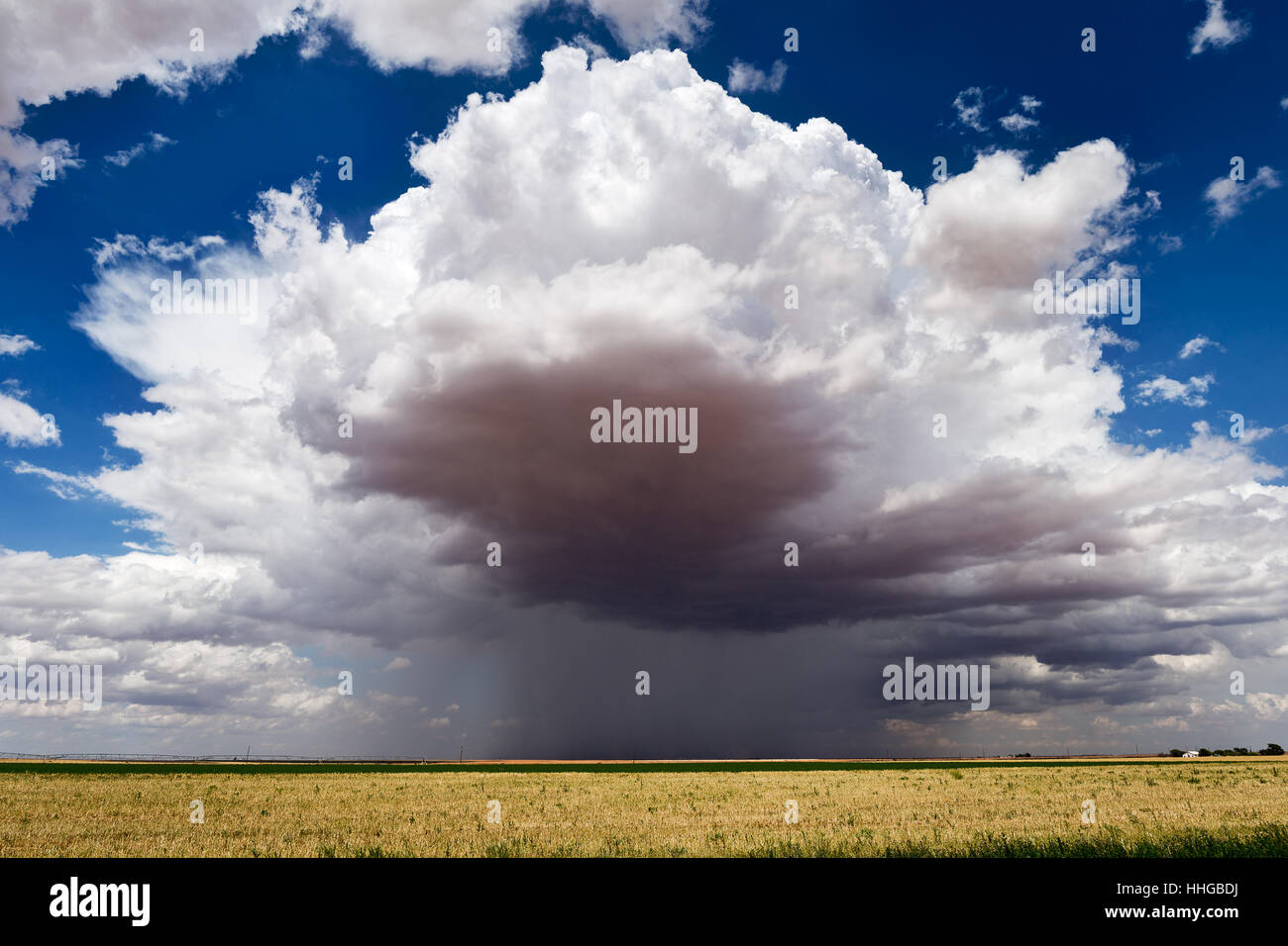 Developing summer thunderstorm over a farm field in LaMesa, Texas Stock Photo