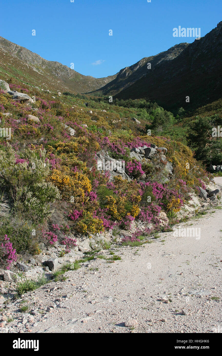 Road in Geres mountains (Trilho das Sombras) Portuguese/Spanish border Stock Photo