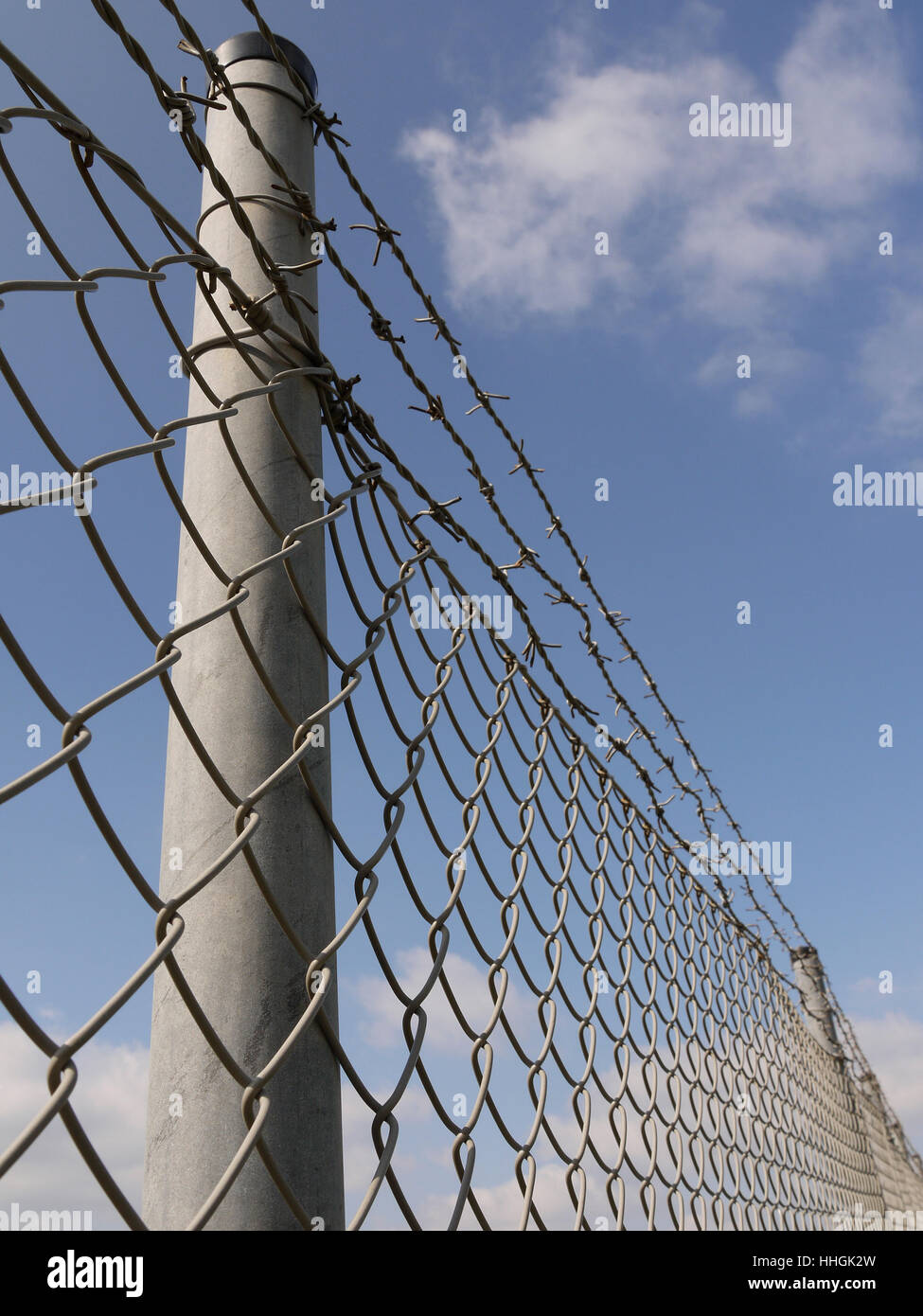 Rabbit wire fence hi-res stock photography and images - Alamy