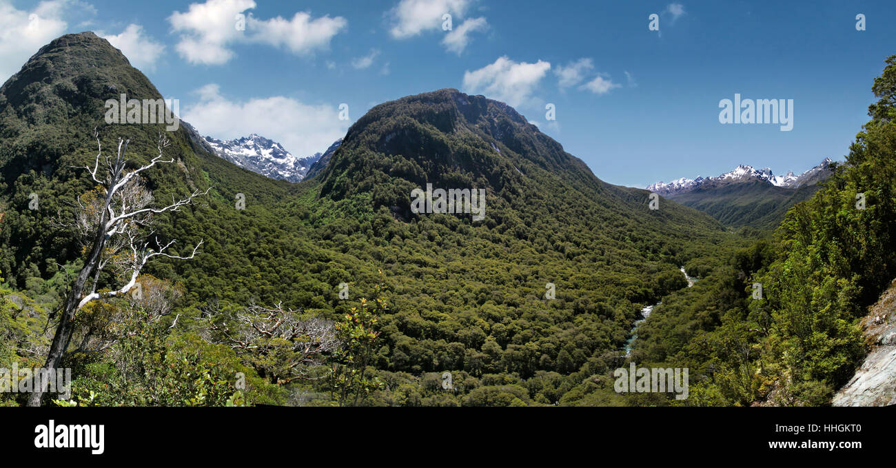 hollyford valley lookout (pops view) at the milford road Stock Photo