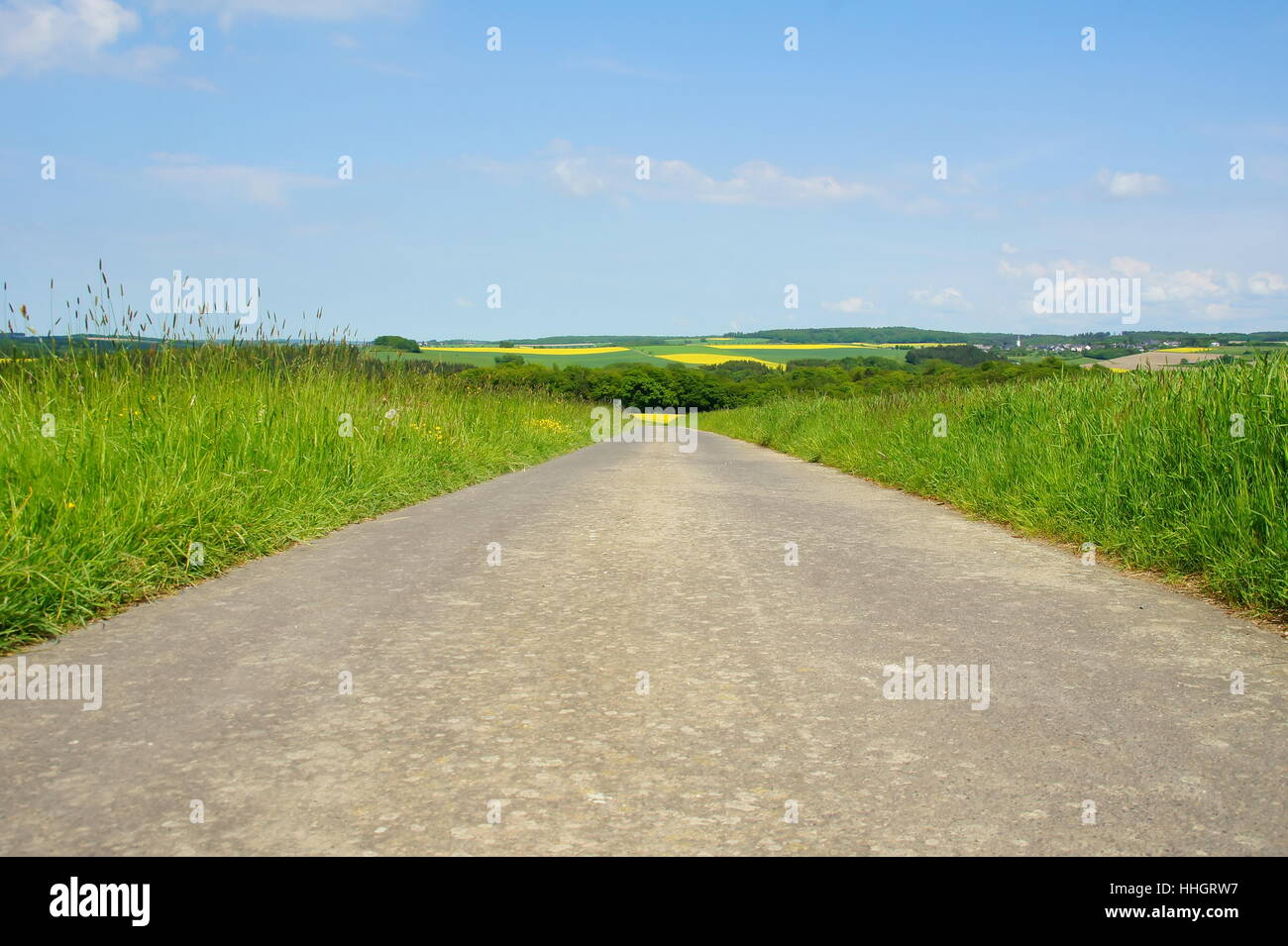path, way, street, road, scenery, countryside, nature, worms eye, green, Stock Photo