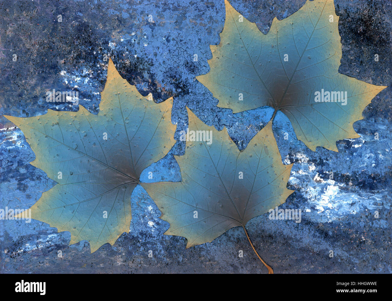 winter, painting, sadness, autumn foliage, paintings, blue, leaf, art, winter, Stock Photo