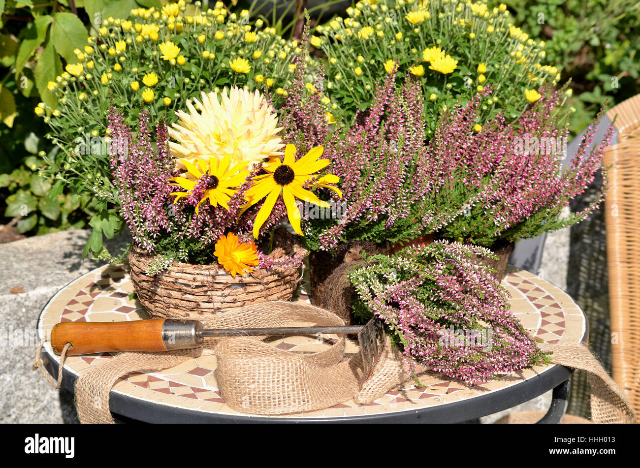 garden, flower arrangements, gardening, heath, gardens, work, job