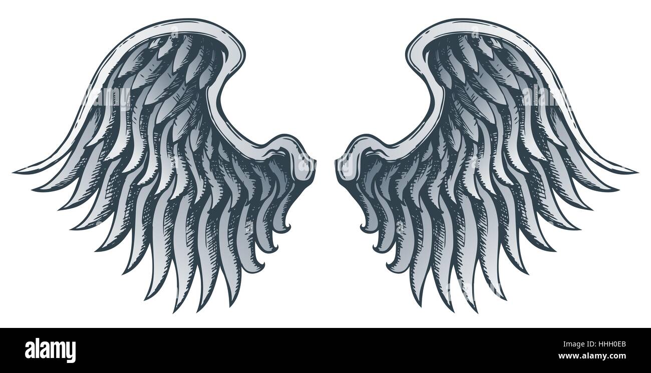 wing, shape, abstract, abstraction, feather, design, shaping, formation ...