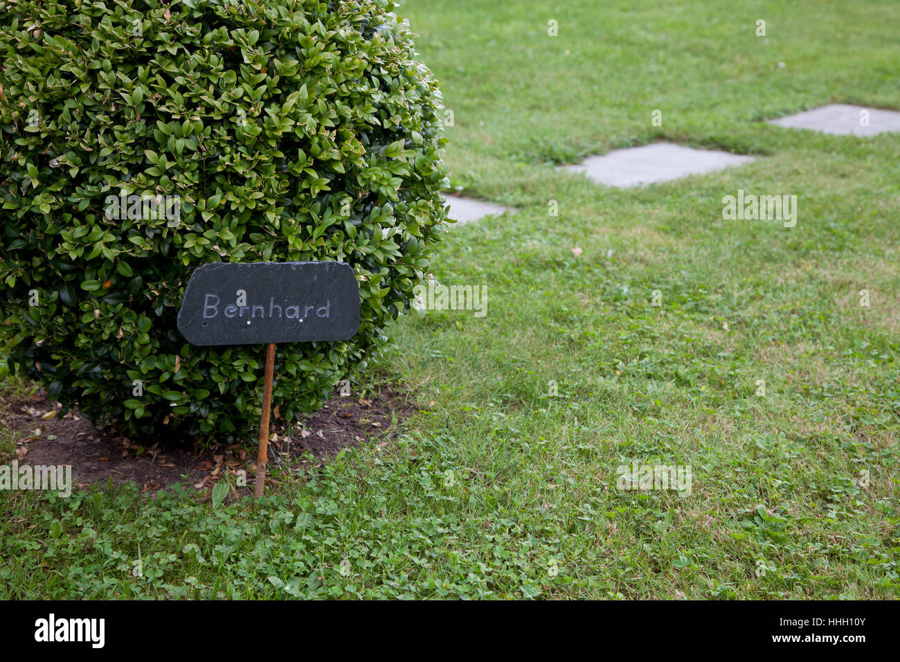 garden, box-tree, signposts, bed, slate, gardens, garden, box-tree ...
