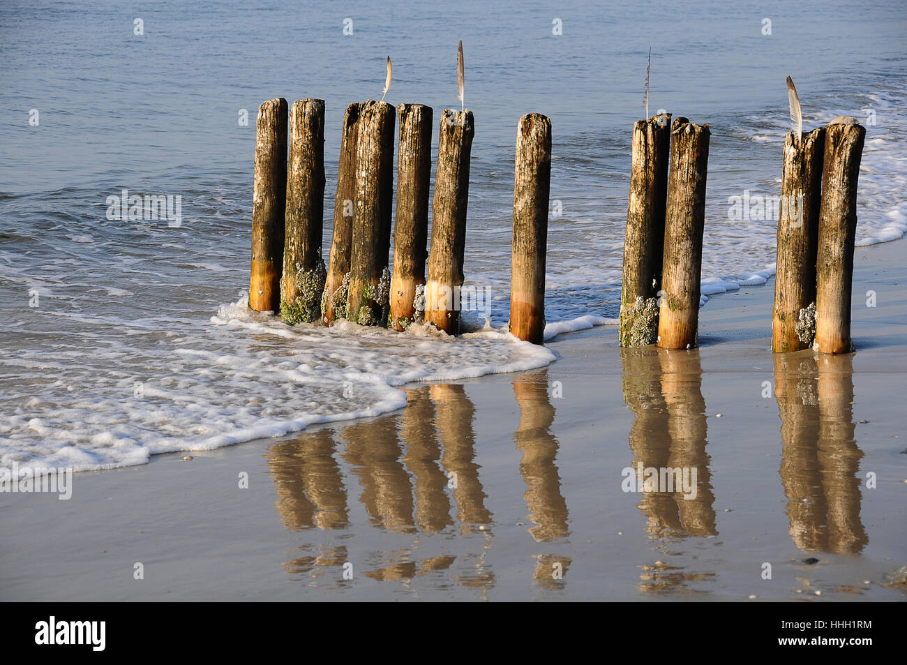 wood, water, north sea, salt water, sea, ocean, pole, stakes, wood, water  Stock Photo - Alamy