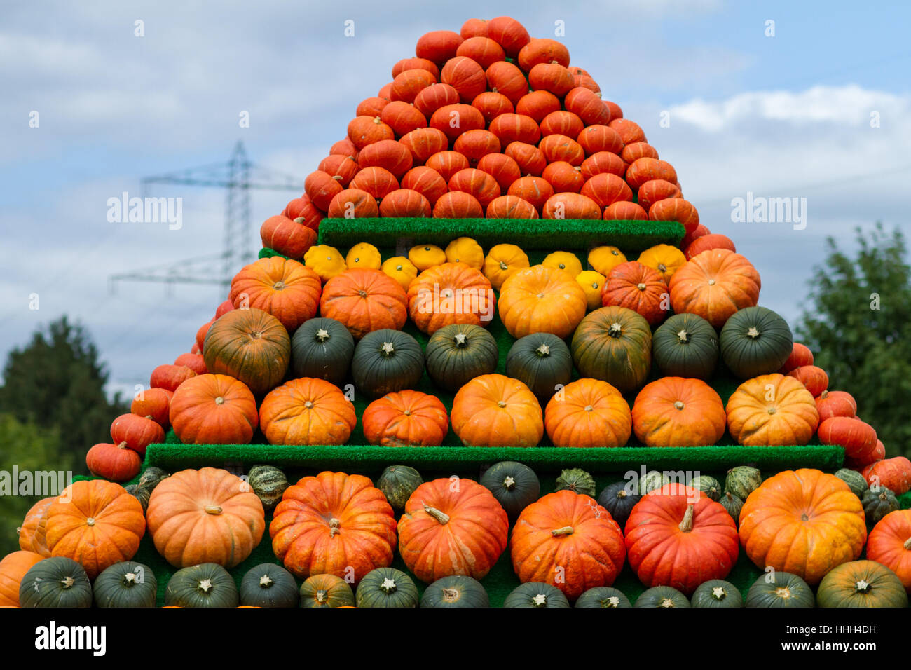 Multifarious coloured, colourful, gorgeous, multifarious, richly coloured, vegetable ...
