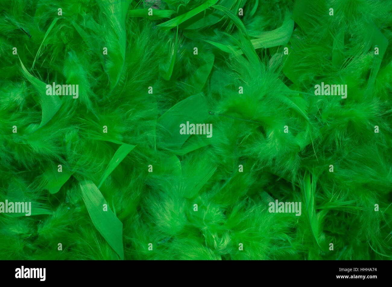 feathers, abstract, chicken, feathered, feather, boa, backdrop