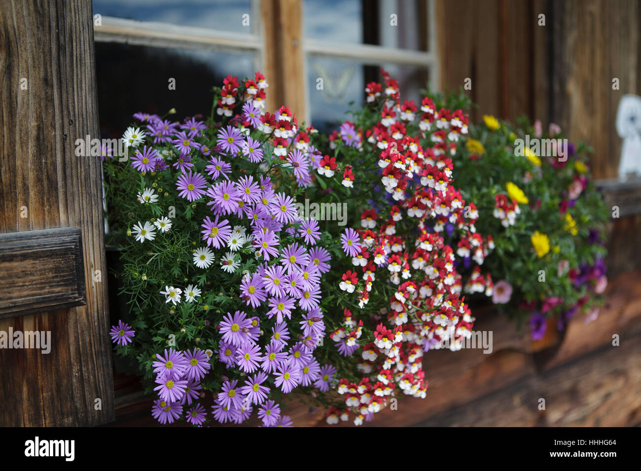flower arrangement on almhtte Stock Photo