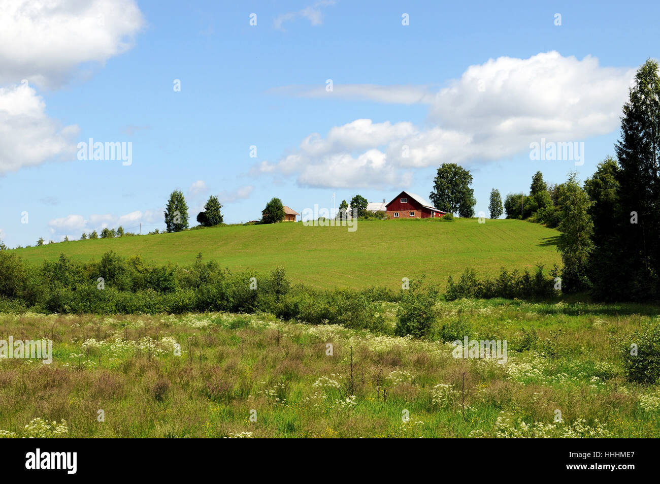 farm, finland, scenery, countryside, nature, grain, cereal, blue, house