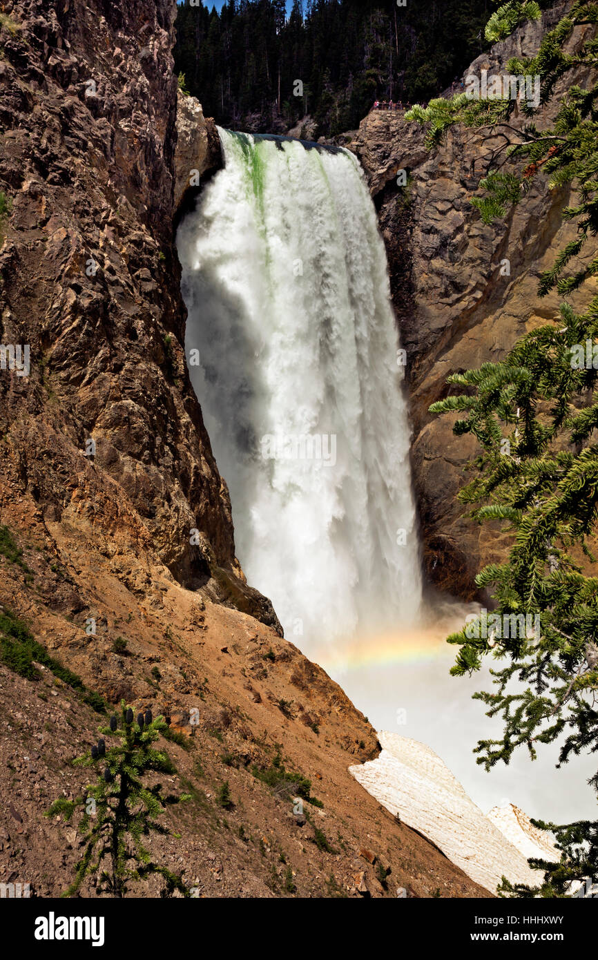 Rainbow at base of Lower Falls from Uncle Tom's Trail in Grand Canyon of the Yellowstone River; Yellowstone National Park. Stock Photo