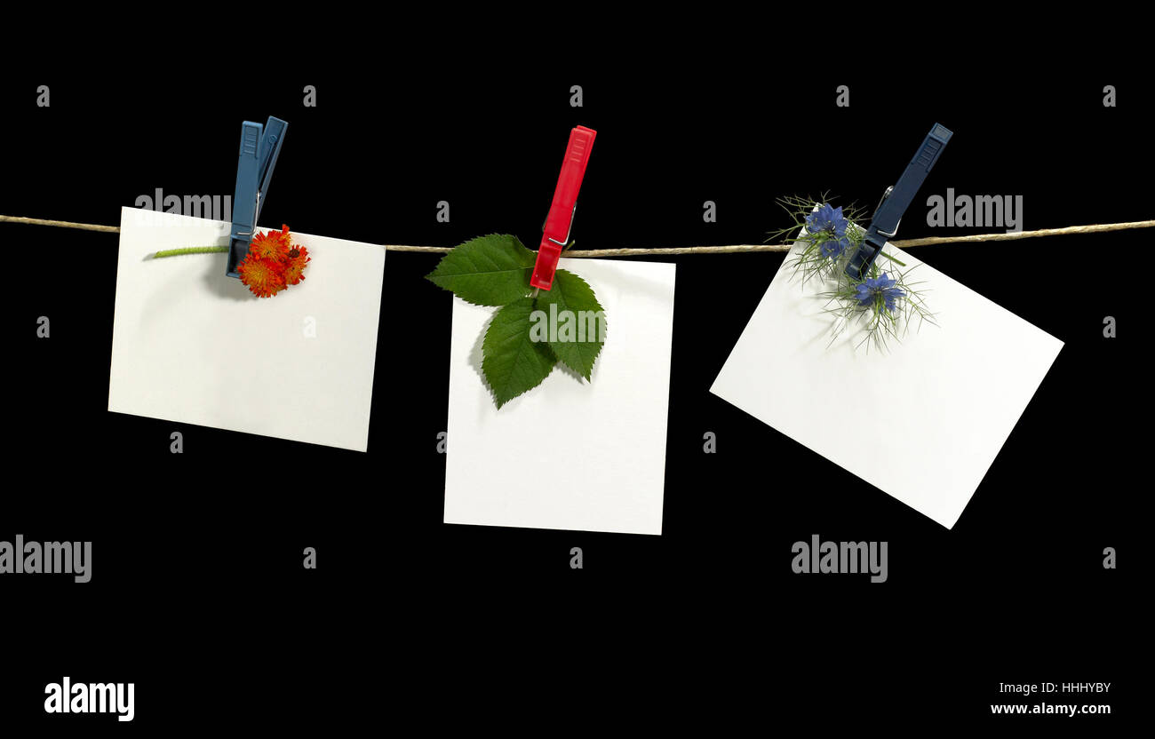 clothesline with some white labels, leaf and flowers fixed with clothes pins in black back Stock Photo