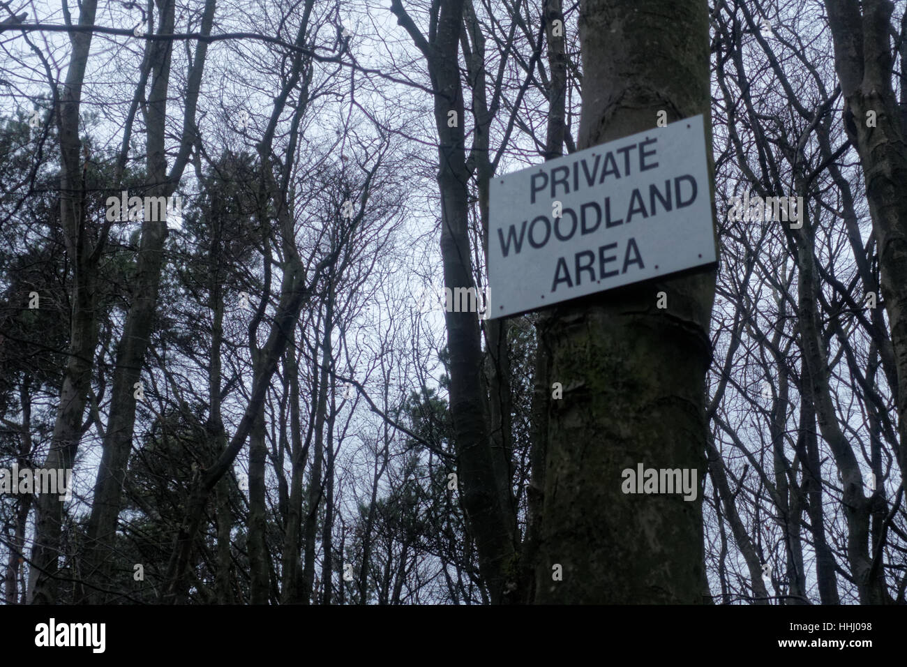 private woodland area sign in forest Stock Photo