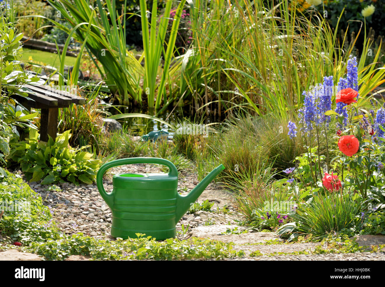 watering the garden pond Stock Photo Alamy