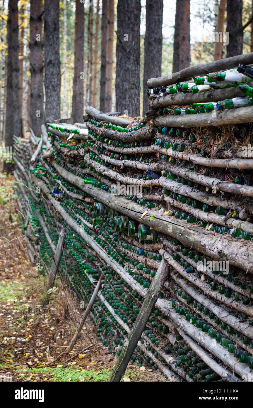 Multiple empty green champagne bottles with colorful stoppers tucked
