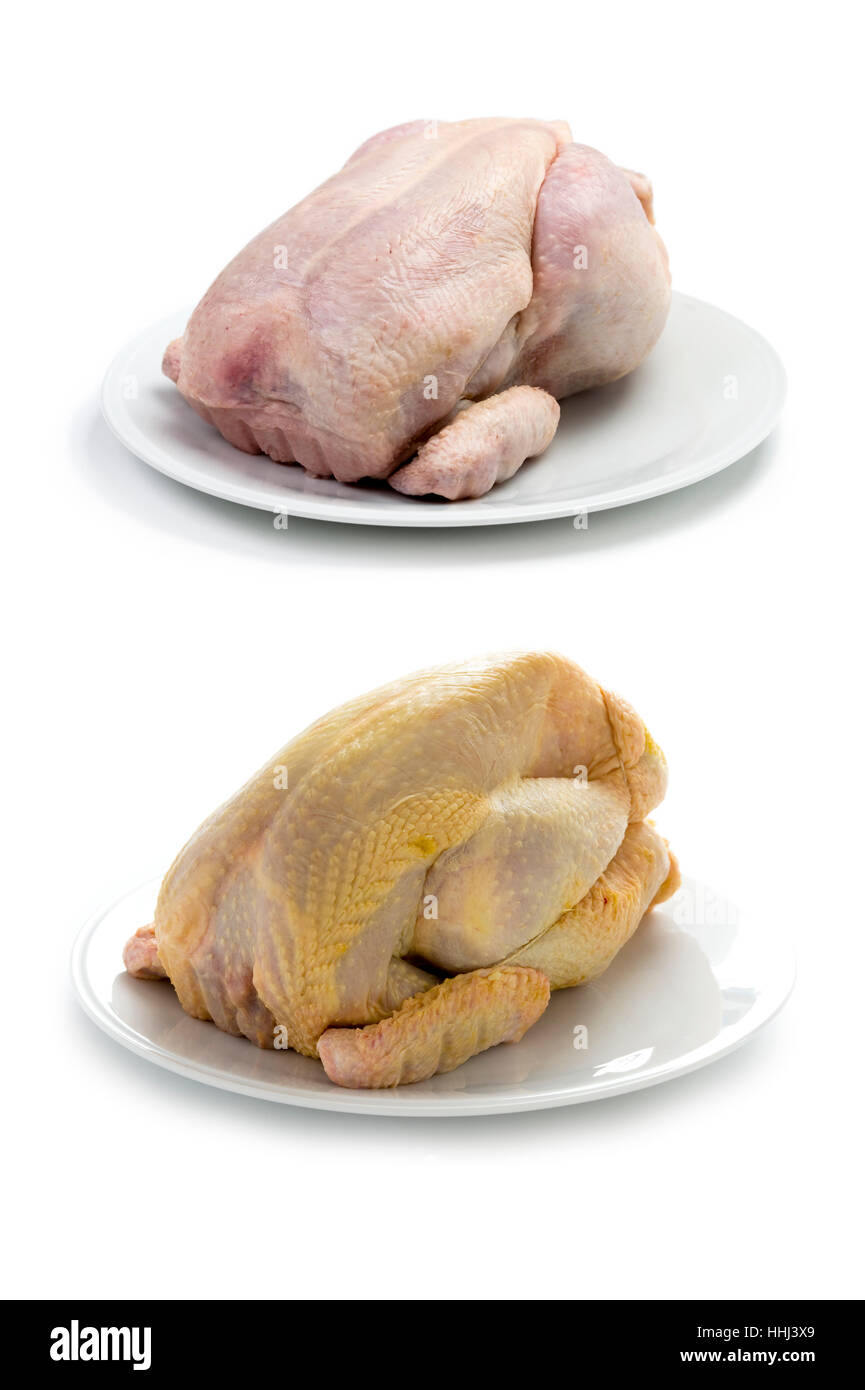Broiler chicken comparison hires stock photography and images Alamy