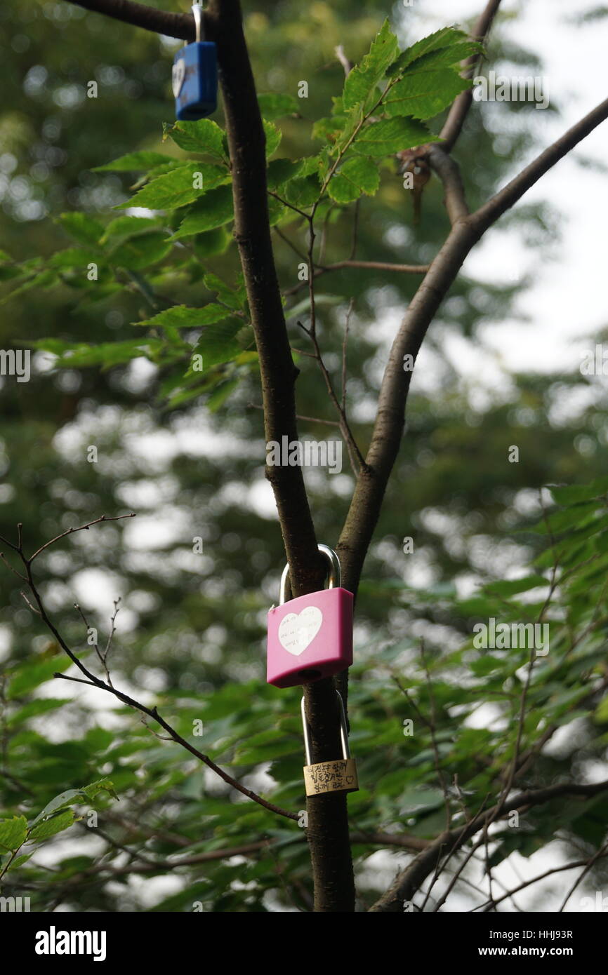 Pink Lock with White Heart Locked to Tree Branch - Love Heart Padlocks and Messages Close Up Stock Photo