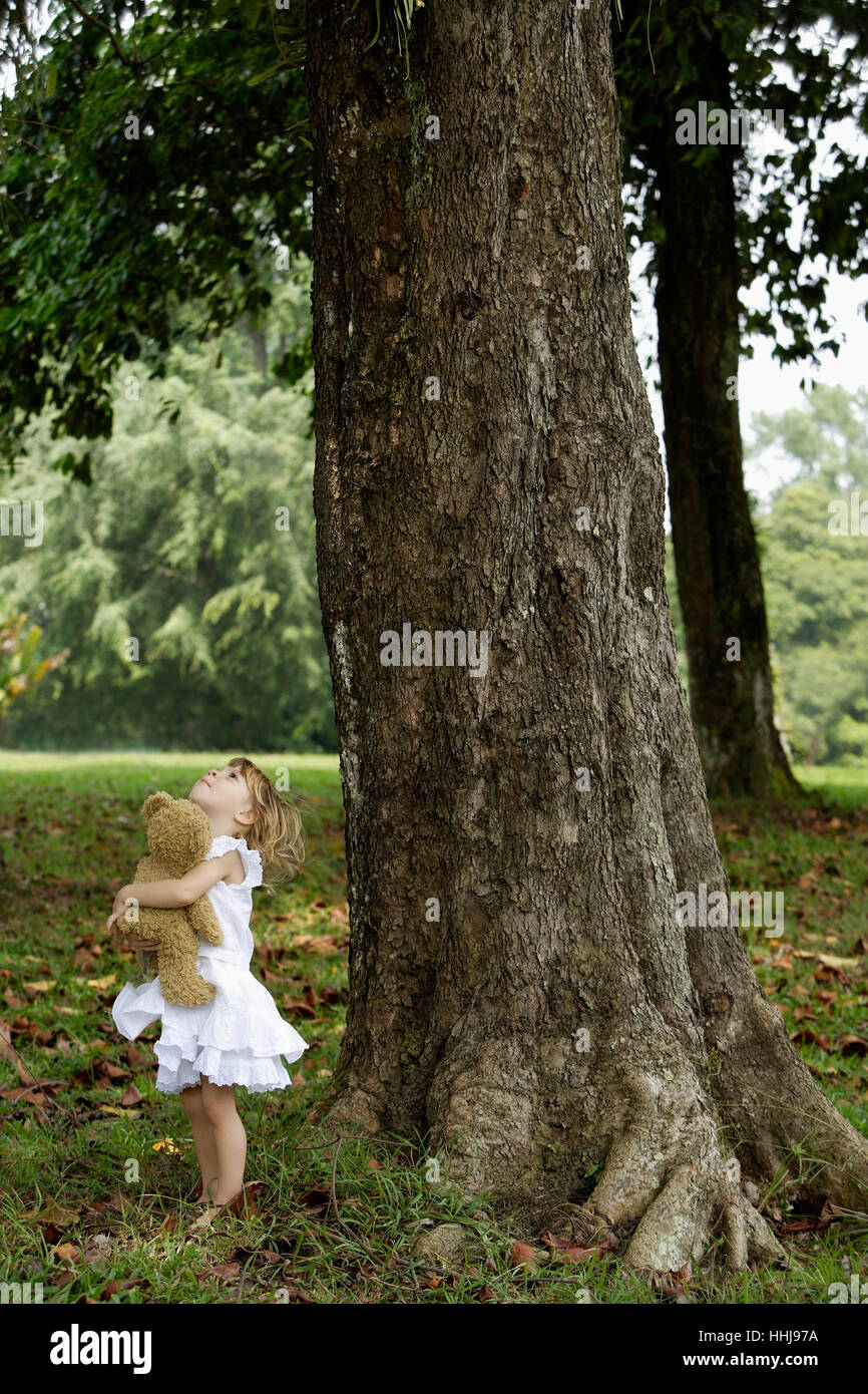 Little girl holding teddy bear, looking up at tree Stock Photo - Alamy