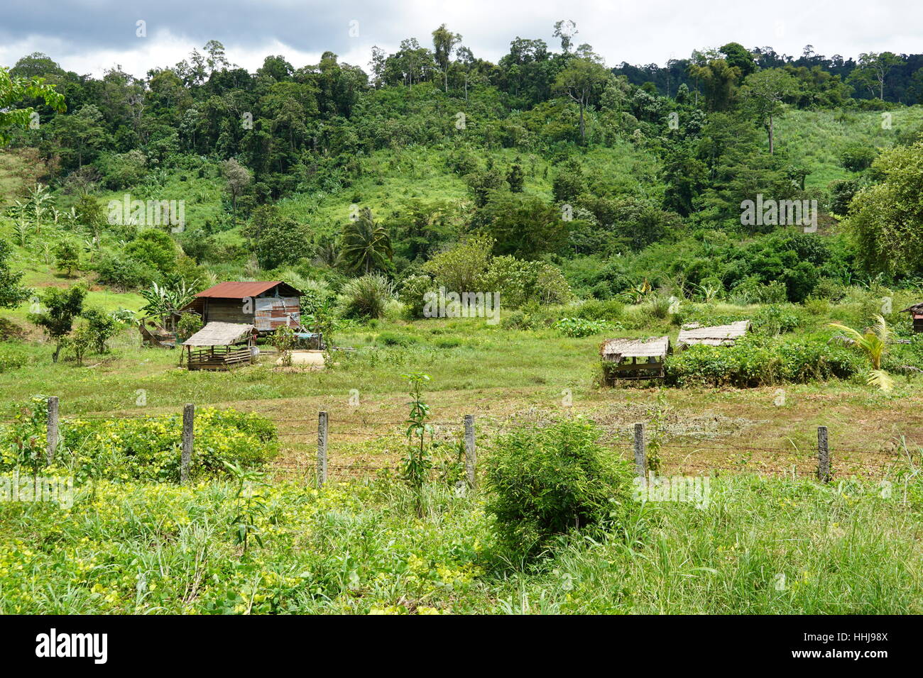 Rural / Remote House Made of Wood and Tin in Samlout, Cambodia Stock Photo