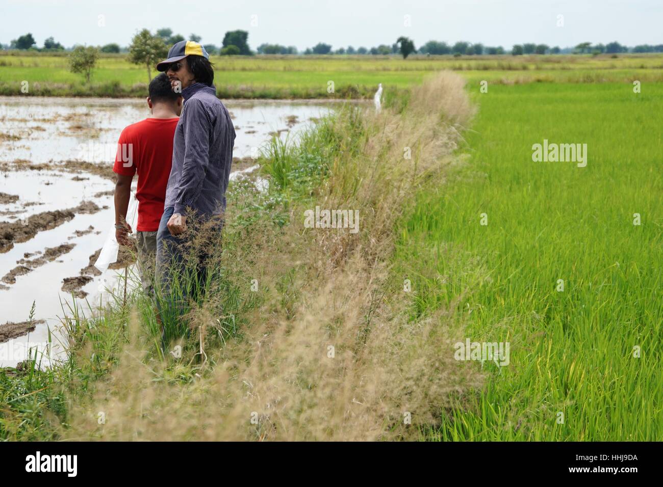 2 Men in a Rice Field in Battambang Cambodia Stock Photo