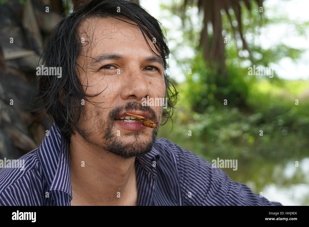 Man Holding a Fried Grasshopper in his Teeth in the Countryside / Rural Cambodia Stock Photo
