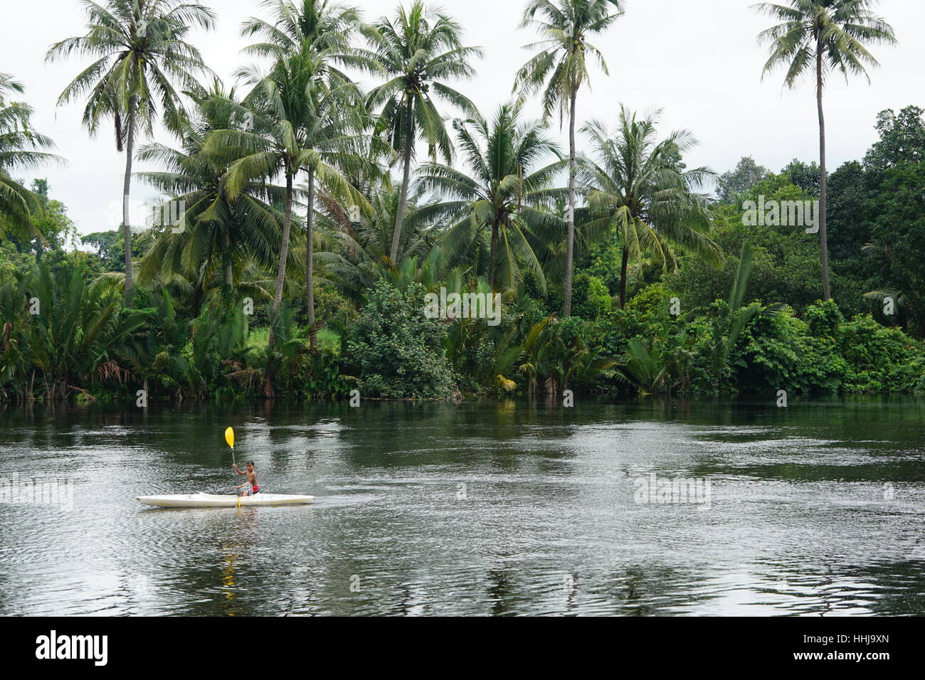Kayak / Canoe on the River in Kampot with Palm Trees / Coconut Trees in Kampot Cambodia Stock Photo