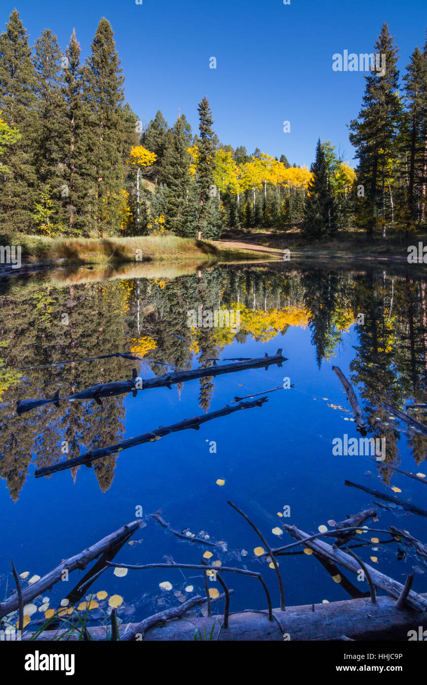 Mueller state park hires stock photography and images Alamy