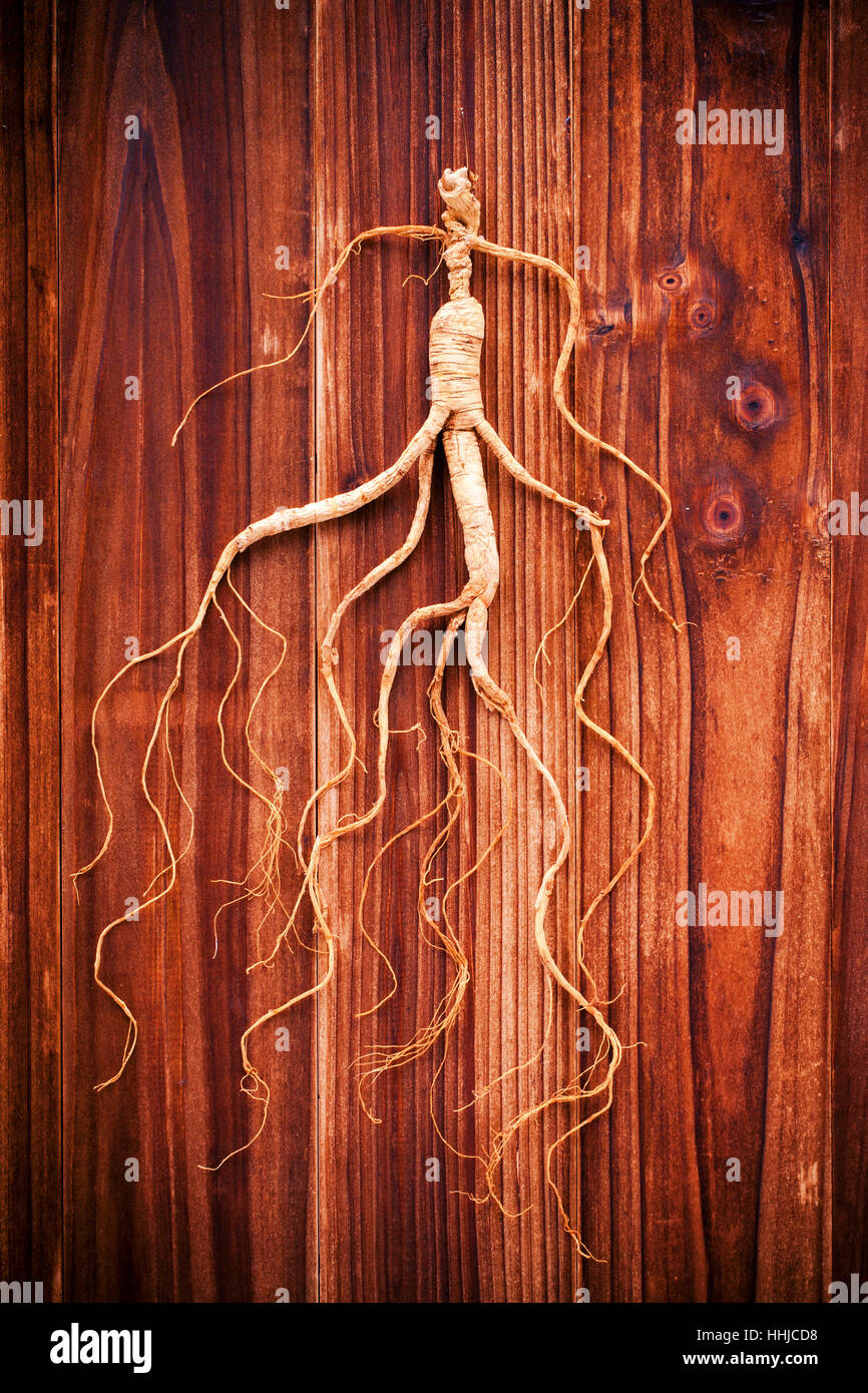 Chinese herb hires stock photography and images Alamy