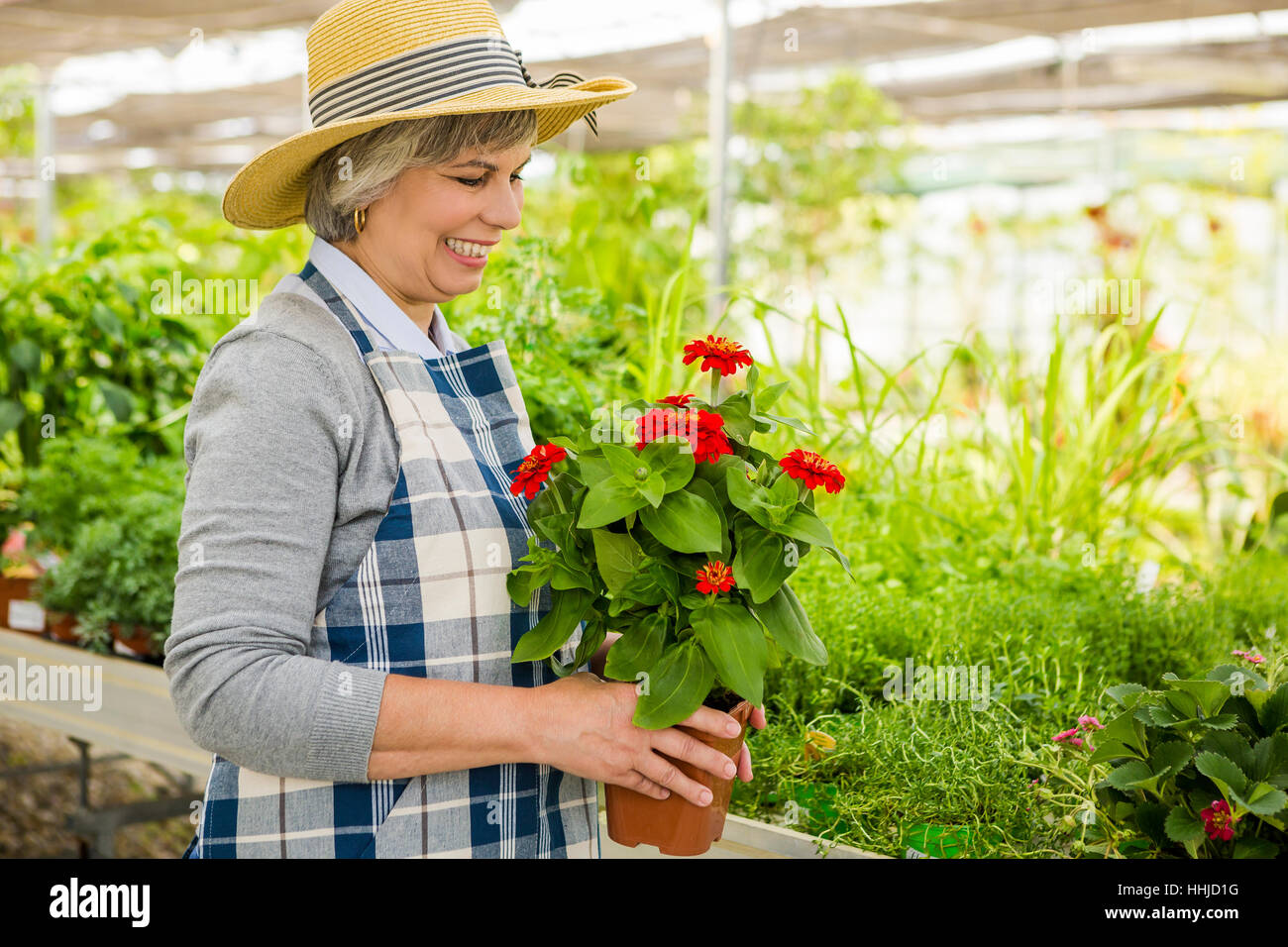 Mature woman in a greenhouse holding flowers Stock Photo - Alamy