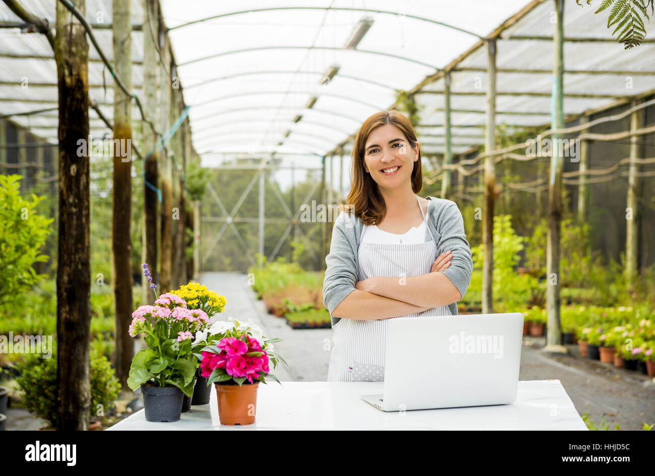 Beautiful woman wroking in a greenhouse and looking at camera while ...