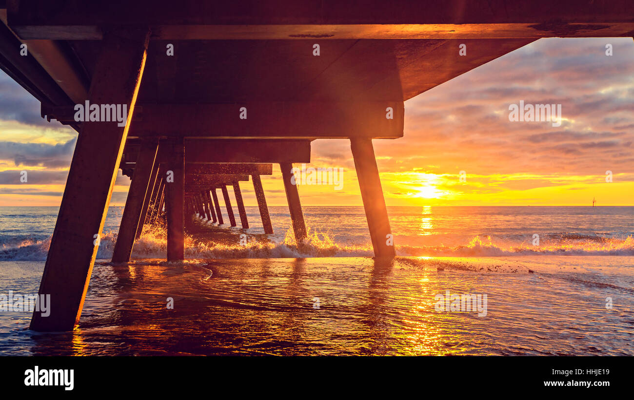 Life Under The Jetty High Resolution Stock Photography and Images - Alamy