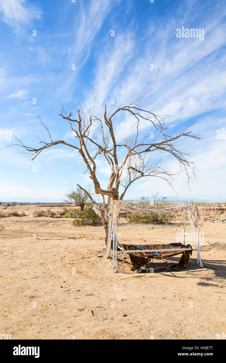 Desert landscape tree swing at Salton Sea in California desert Stock Photo Alamy