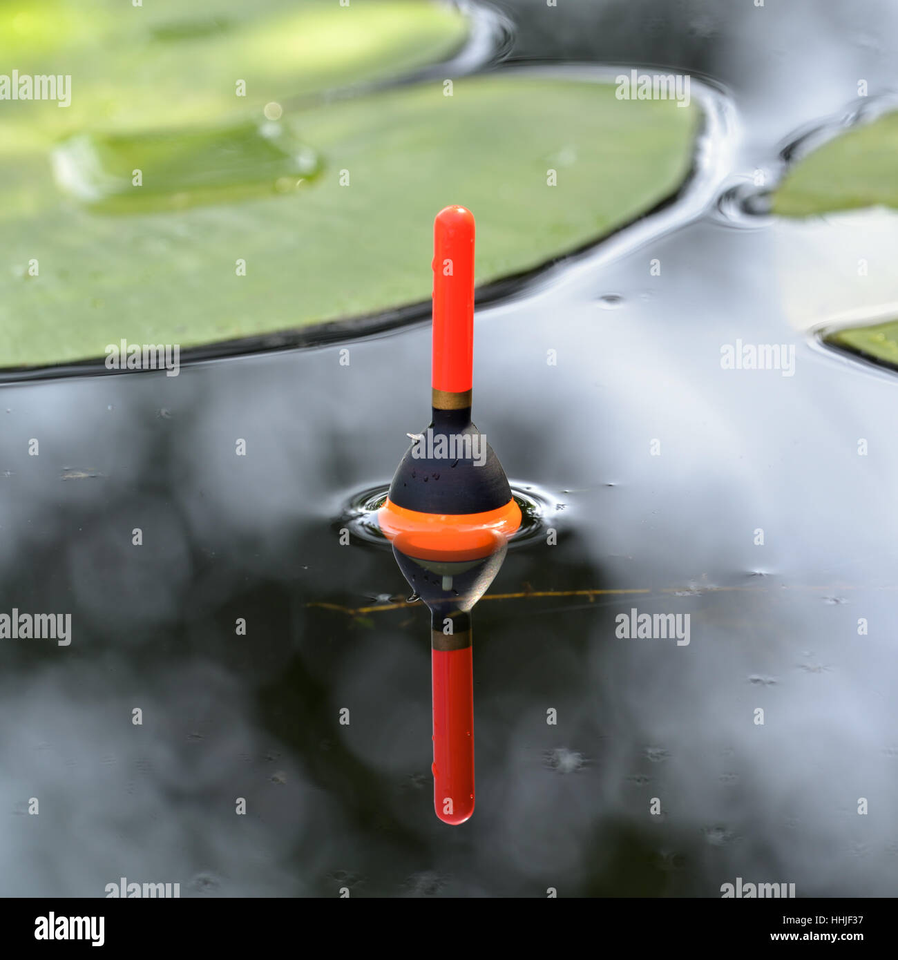 Bobber with fishing line and hook under water closeup Stock Photo