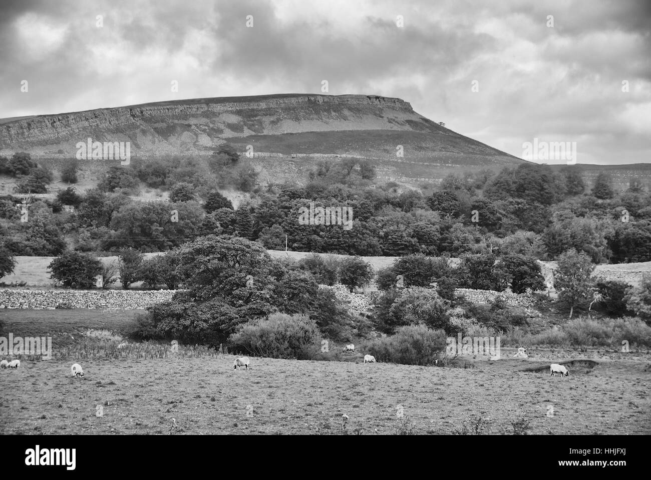 The Yorkshire Dales, North Yorkshire, England, U.K Stock Photo Alamy