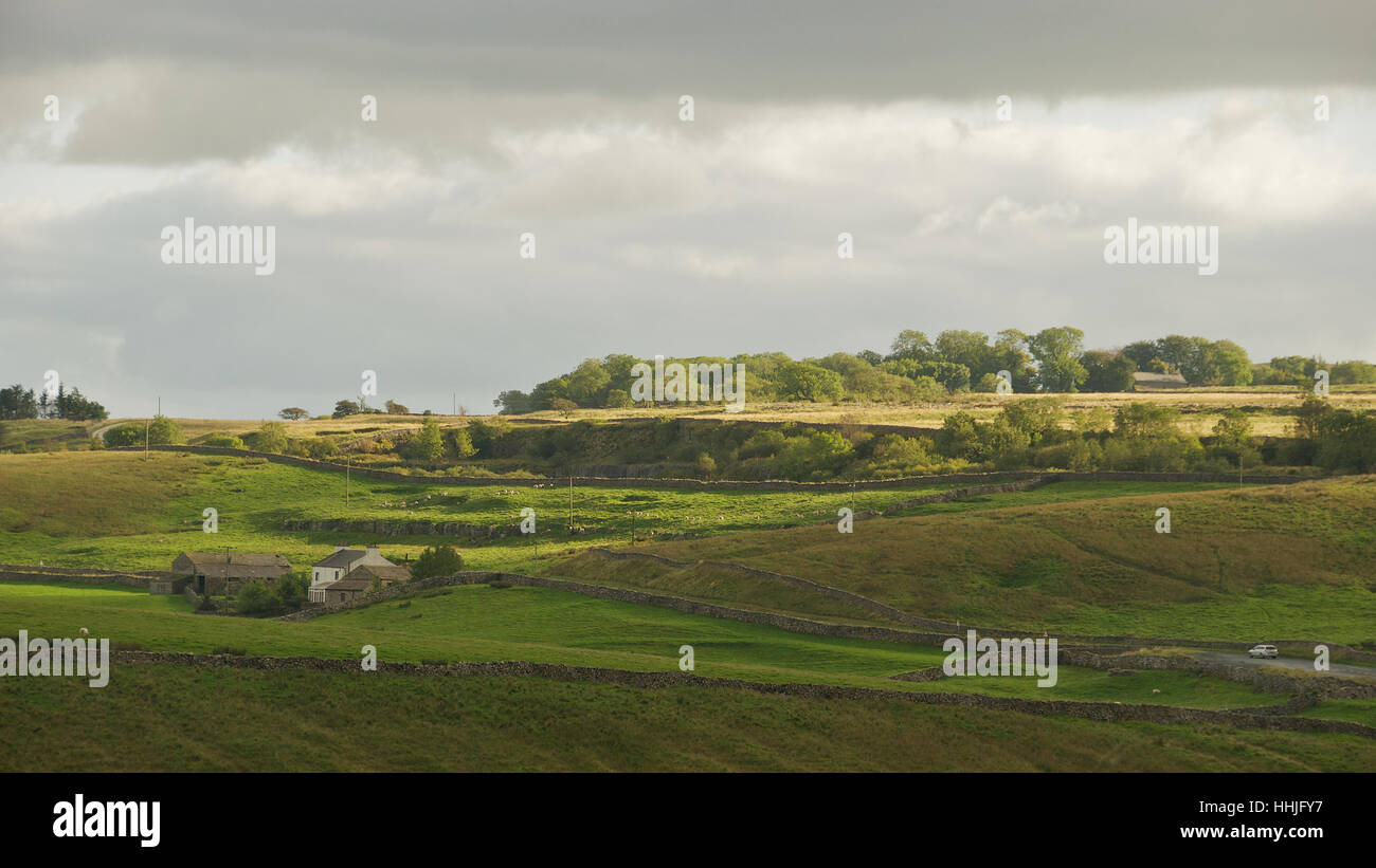Farmhouse in The Yorkshire Dales, North Yorkshire, England, U.K Stock