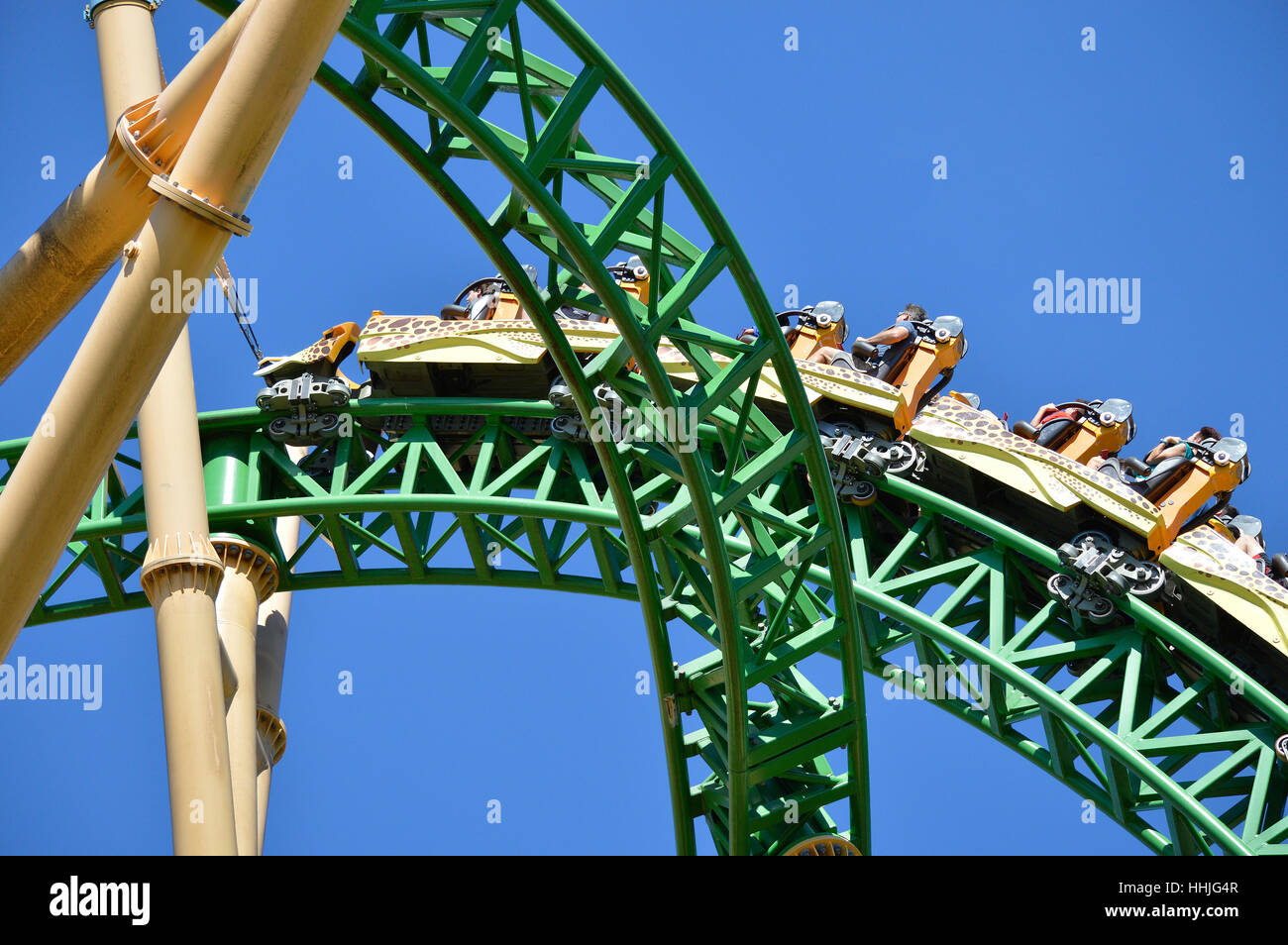 Tourists on Cheetah Hunt roller coaster in Busch Gardens Tampa Stock Photo