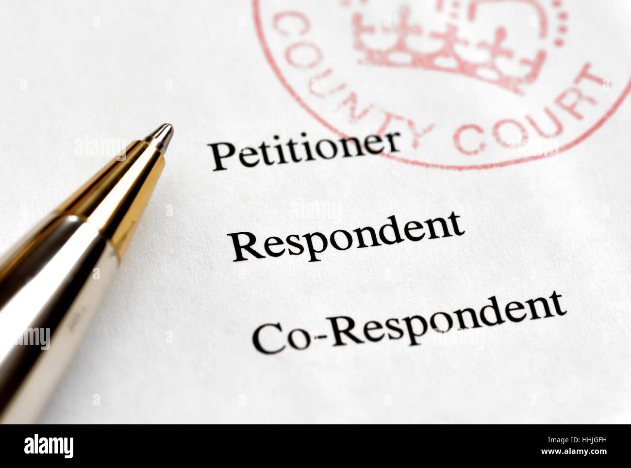 County court divorce papers petitioner respondent co respondent and a