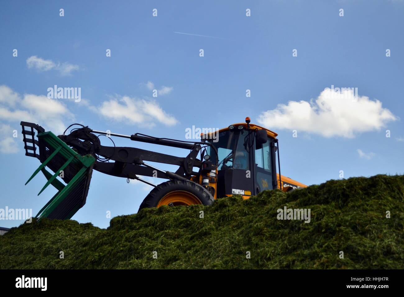 loader on the silage pit Stock Photo