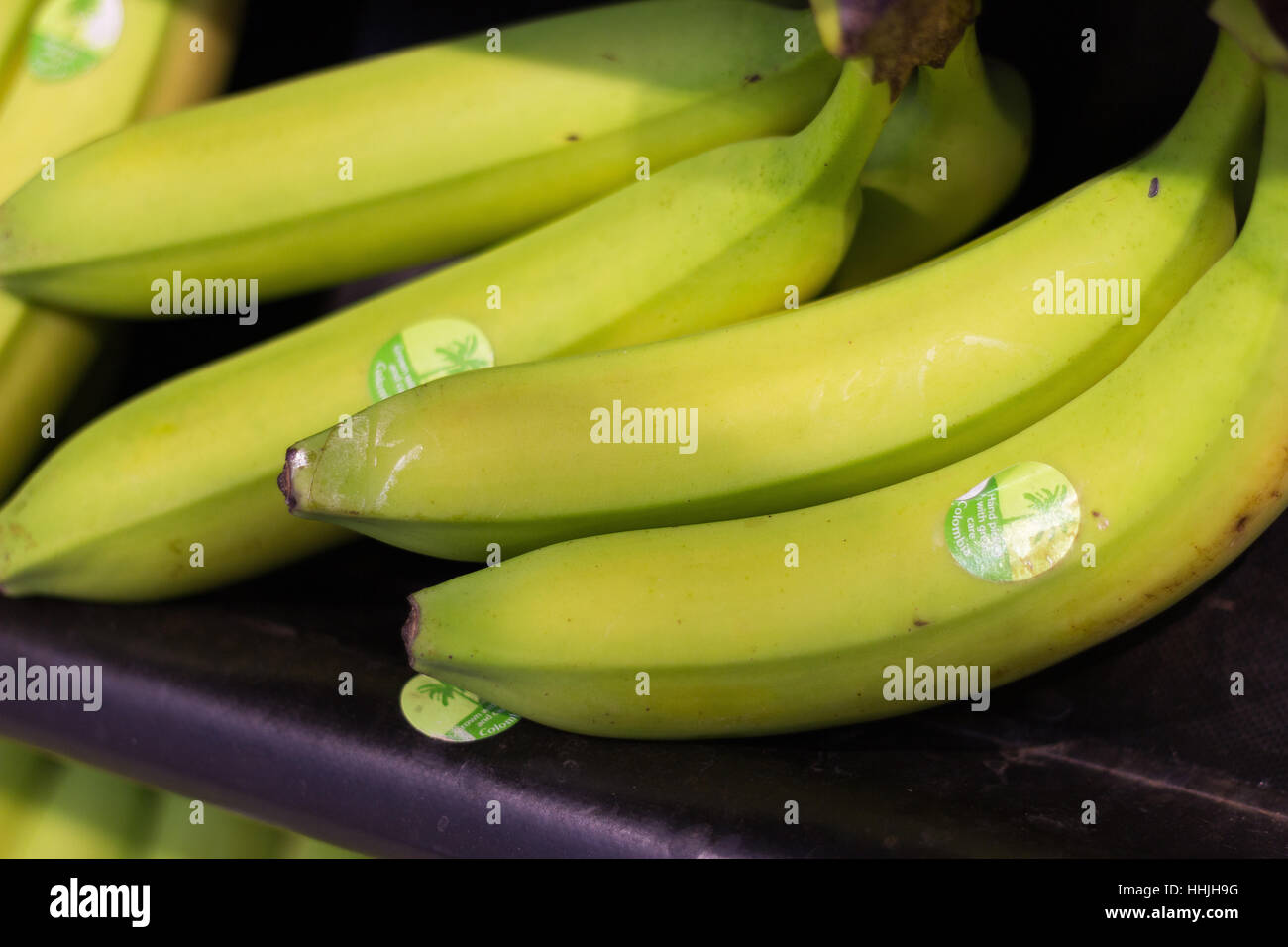 Bananas on sale on supermarket shelf Stock Photo