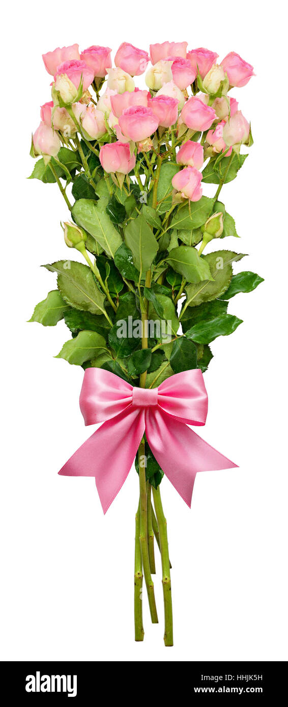 Small pink rose flowers bouquet and a ribbon bow isolated on white